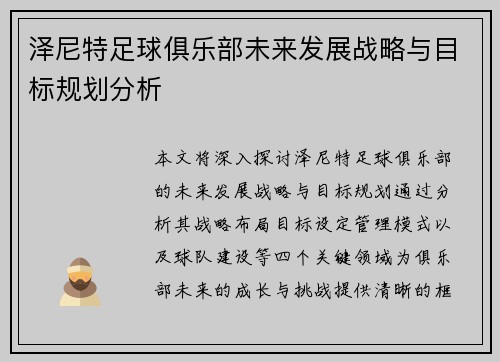 泽尼特足球俱乐部未来发展战略与目标规划分析 泽尼特足球俱乐部未来发展战略与目标规划分析